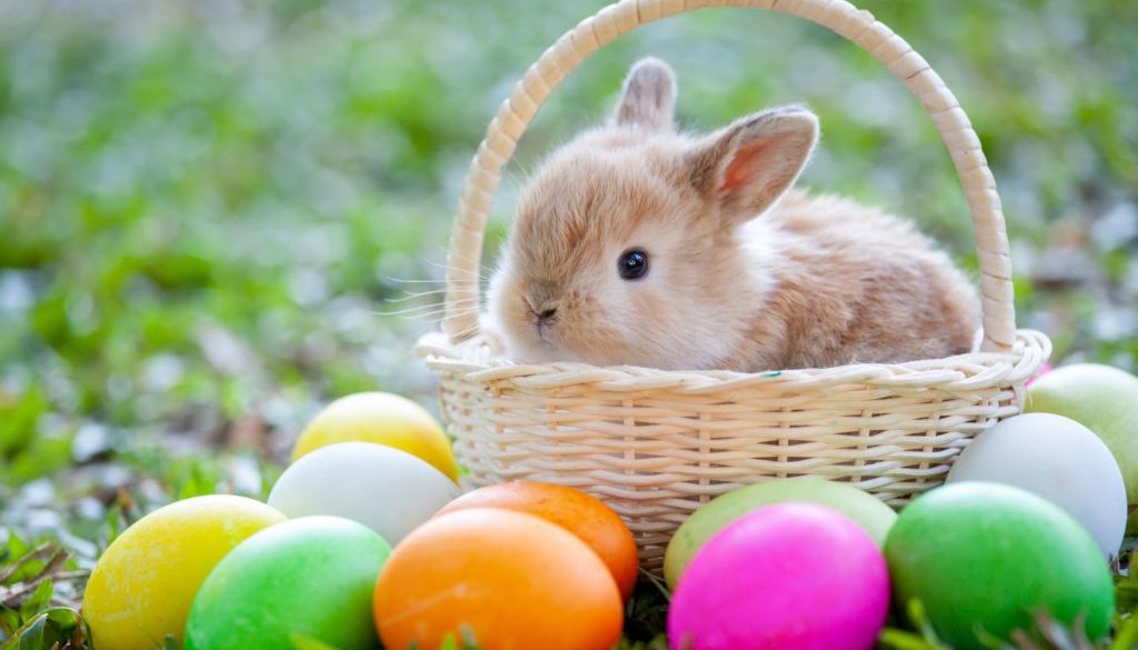easter-bunny-origins-1581358909