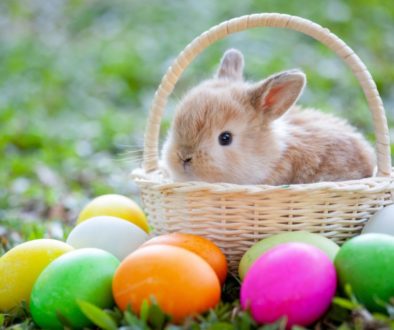 easter-bunny-origins-1581358909